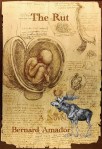 Da_Vinci_Studies_of_Embryos_Luc_Viatour3